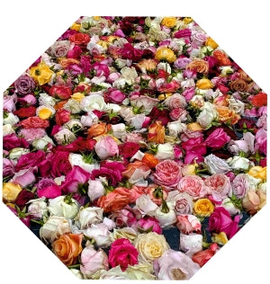 Blumen-Naturschirme
