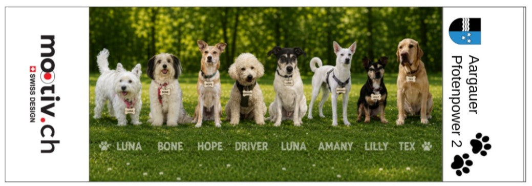 Aargauer Hunde Schirm 2