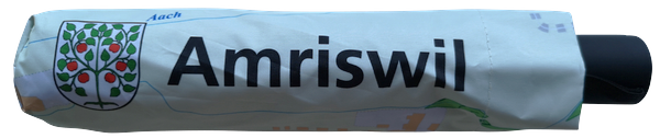 Amriswil Schirm