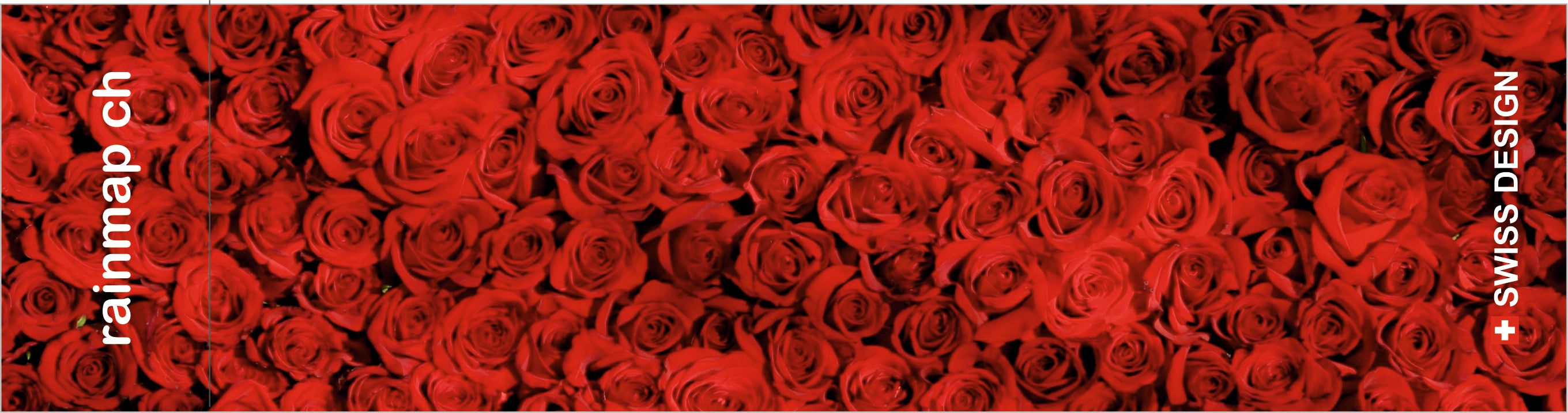 Rosen Schirm