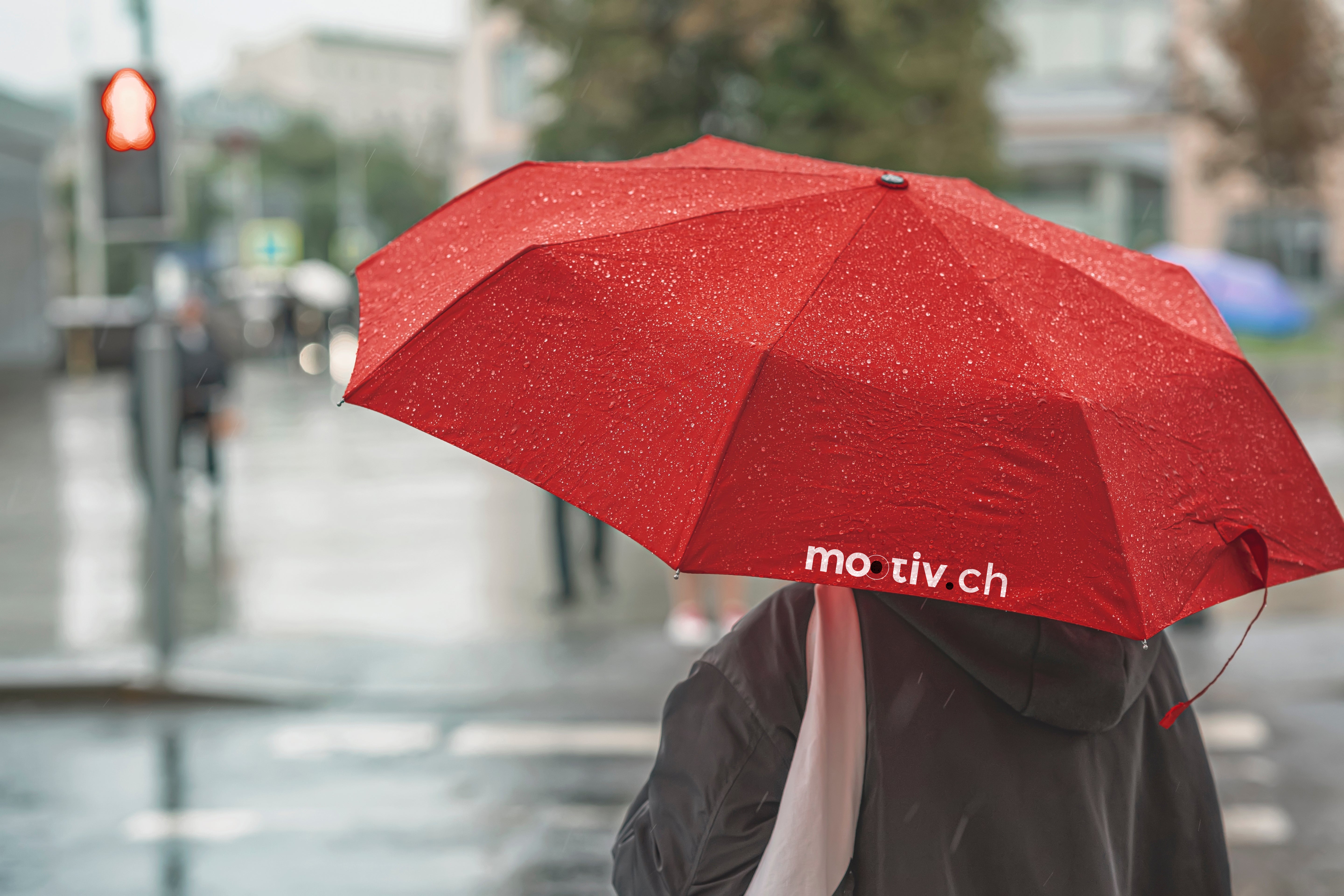 Online-Tool zur Gestaltung personalisierter Regenschirme